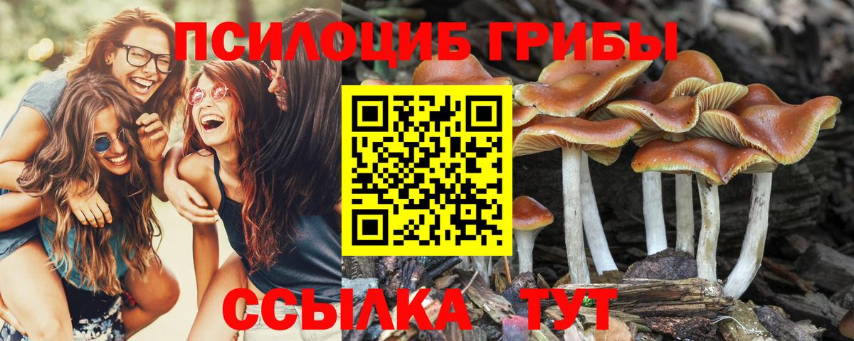 Кувандык  Галлюциногенные грибы GOLDEN TEACHER  Вход с VPN 